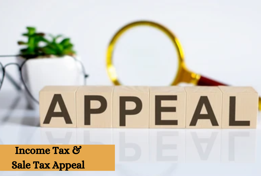 income tax and sales tax appeal