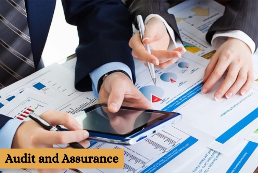UAE Audit and Assurance Services