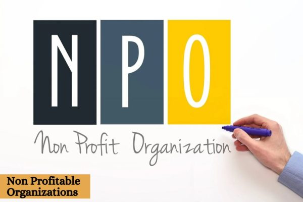 Non Profitable Organization (NGO's)